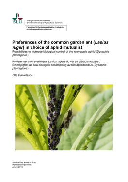 Lasius Niger) in Choice of Aphid Mutualist Possibilities to Increase Biological Control of the Rosy Apple Aphid (Dysaphis Plantaginea)