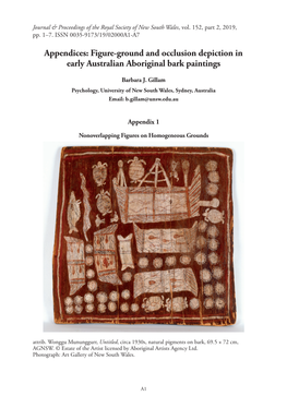 Appendices: Figure-Ground and Occlusion Depiction in Early Australian Aboriginal Bark Paintings