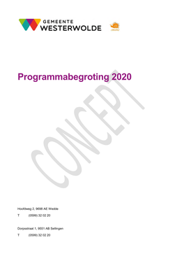 Programmabegroting 2020