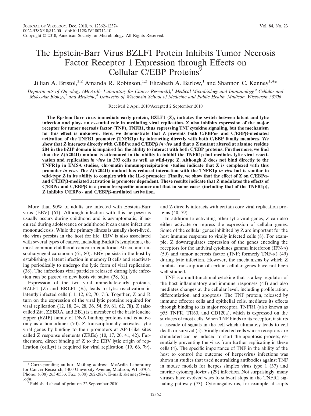 The Epstein-Barr Virus BZLF1 Protein Inhibits Tumor Necrosis Factor Receptor 1 Expression Through Effects on Cellular C/EBP Proteinsᰔ Jillian A