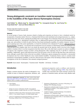 Strong Phylogenetic Constraint on Transition Metal Incorporation in the Mandibles of the Hyper-Diverse Hymenoptera (Insecta)