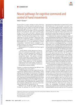 Neural Pathways for Cognitive Command and Control of Hand Movements Esther P