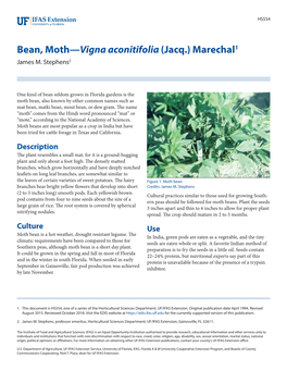 Bean, Moth—Vigna Aconitifolia (Jacq.) Marechal1 James M