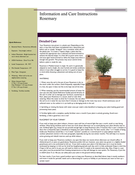 Rosemary Topiary Care Sheet.Pdf