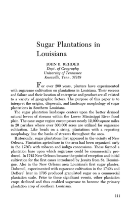 Sugar Plantations in Louisiana