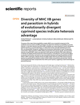 Diversity of MHC IIB Genes and Parasitism in Hybrids of Evolutionarily Divergent Cyprinoid Species Indicate Heterosis Advantage