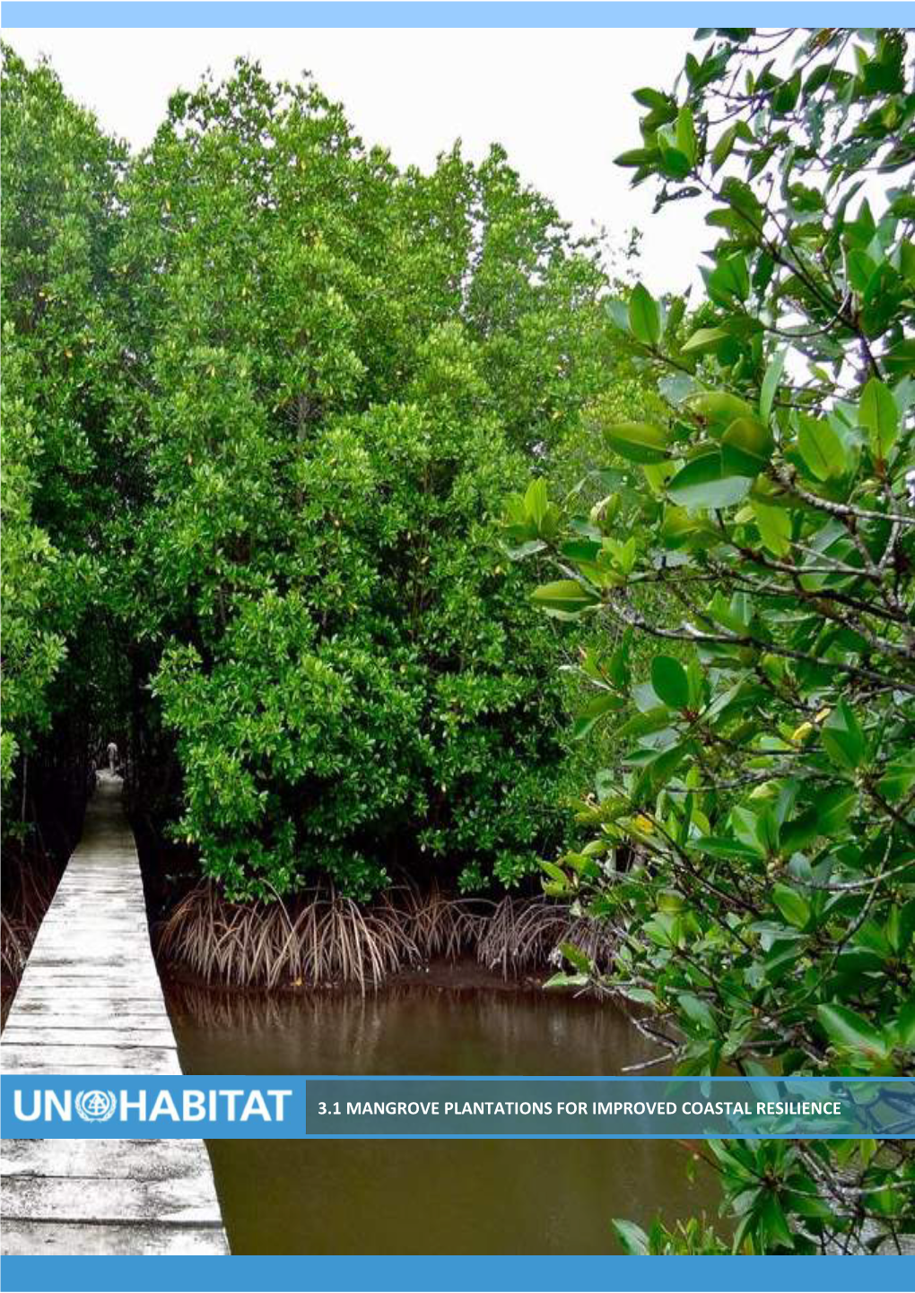 Un-Habitat 3.1 Mangrove Plantations for Improved