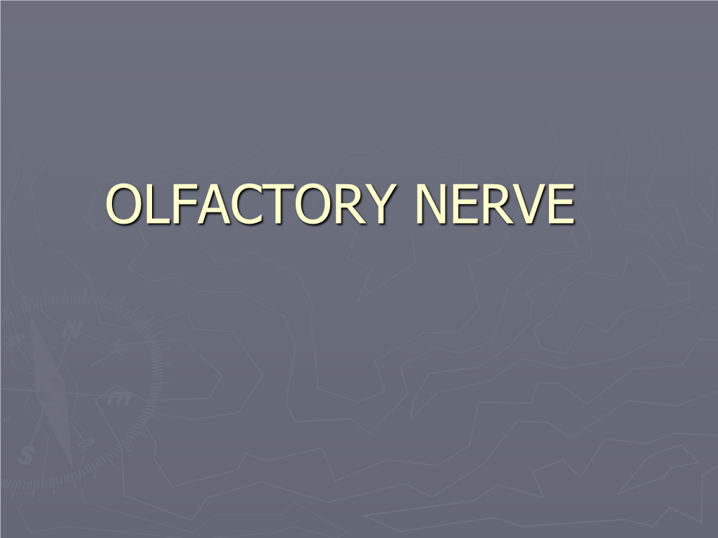 Olfactory Nerve.Pdf