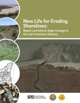 New Life for Eroding Shorelines: Beach and Marsh Edge Change in the San Francisco Estuary