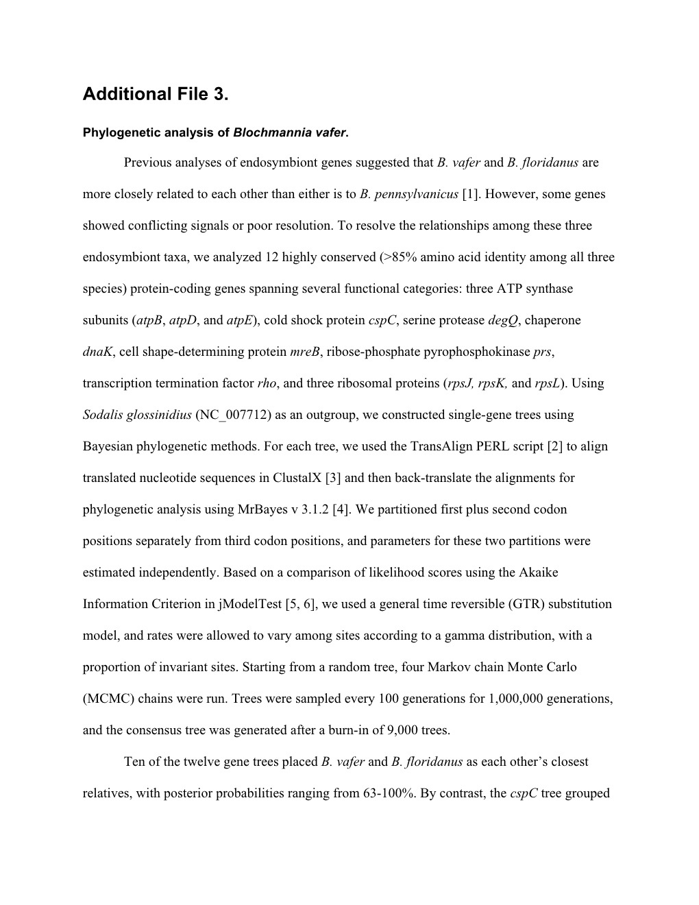 Phylogenetic Analysis of Blochmannia Vafer