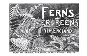 Ferns and Evergreens of NE.Indd