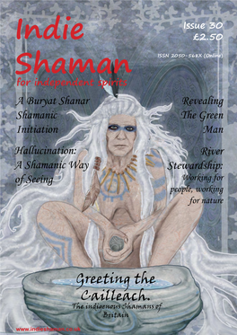 Greeting the Cailleach. the Indigenous Shamans of Britain