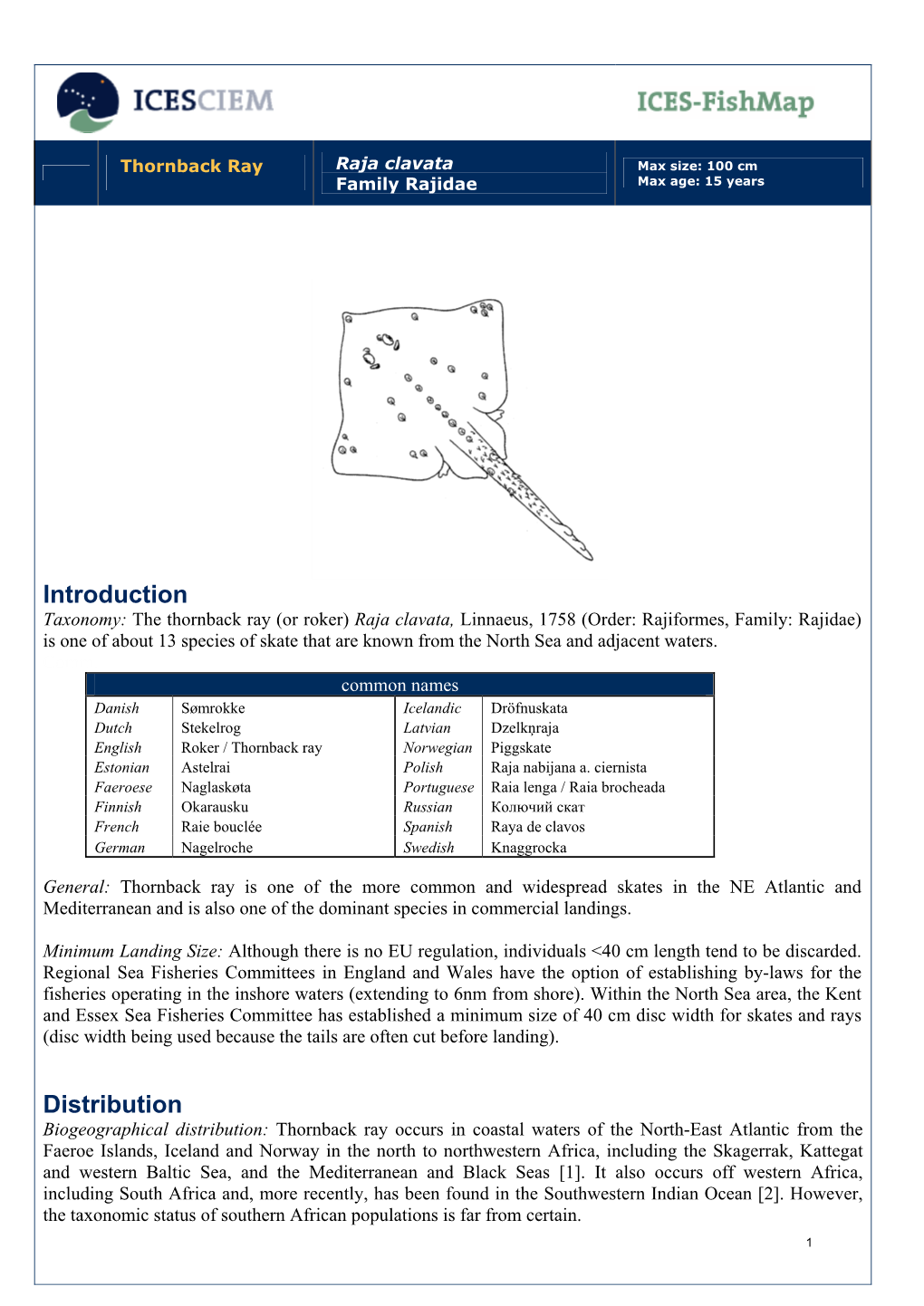 Thornback Ray Family Rajidae Max Age: 15 Years