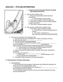 Chapter 18 Arthropods