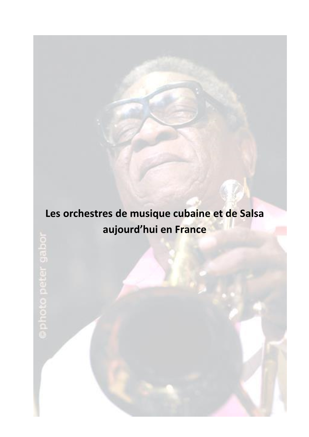 Les Orchestres De Musique Cubaine Et De Salsa Aujourd'hui En France