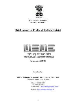 Brief Industrial Profile of Rohtak District
