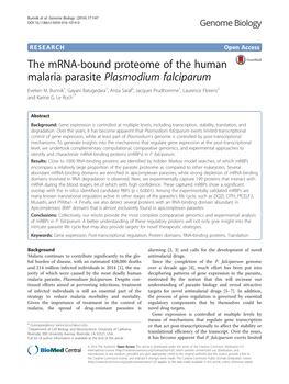 The Mrna-Bound Proteome of the Human Malaria Parasite Plasmodium Falciparum Evelien M