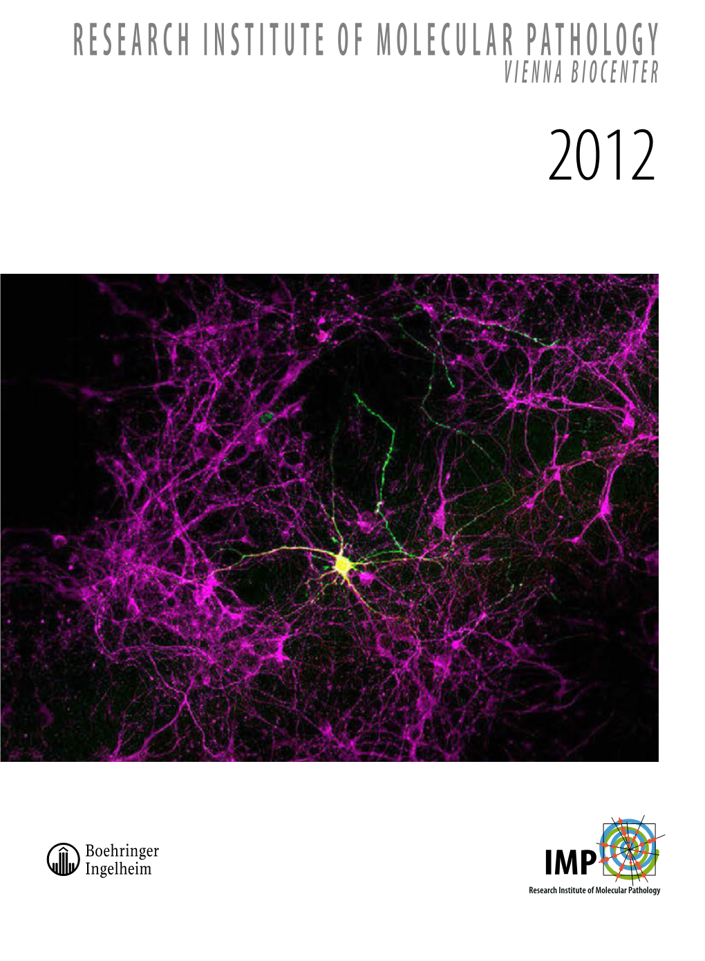 2012 IMP Research Report
