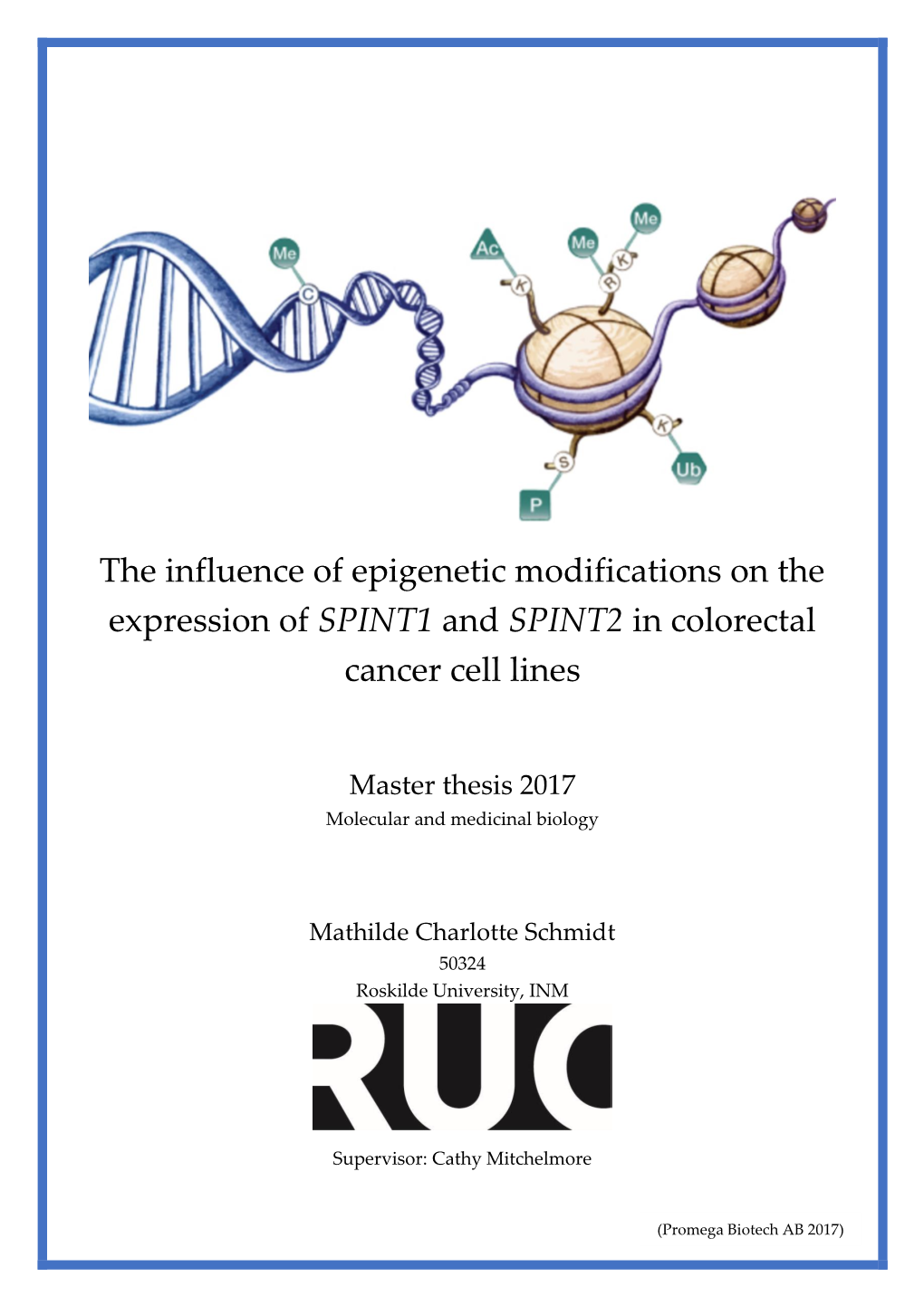 The Influence of Epigenetic Modifications on the Expression of SPINT1 ...