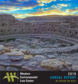 2019 Annual Report