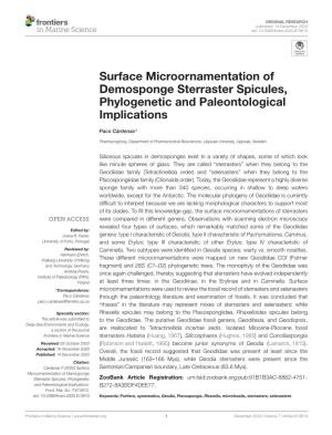 Surface Microornamentation of Demosponge Sterraster Spicules, Phylogenetic and Paleontological Implications
