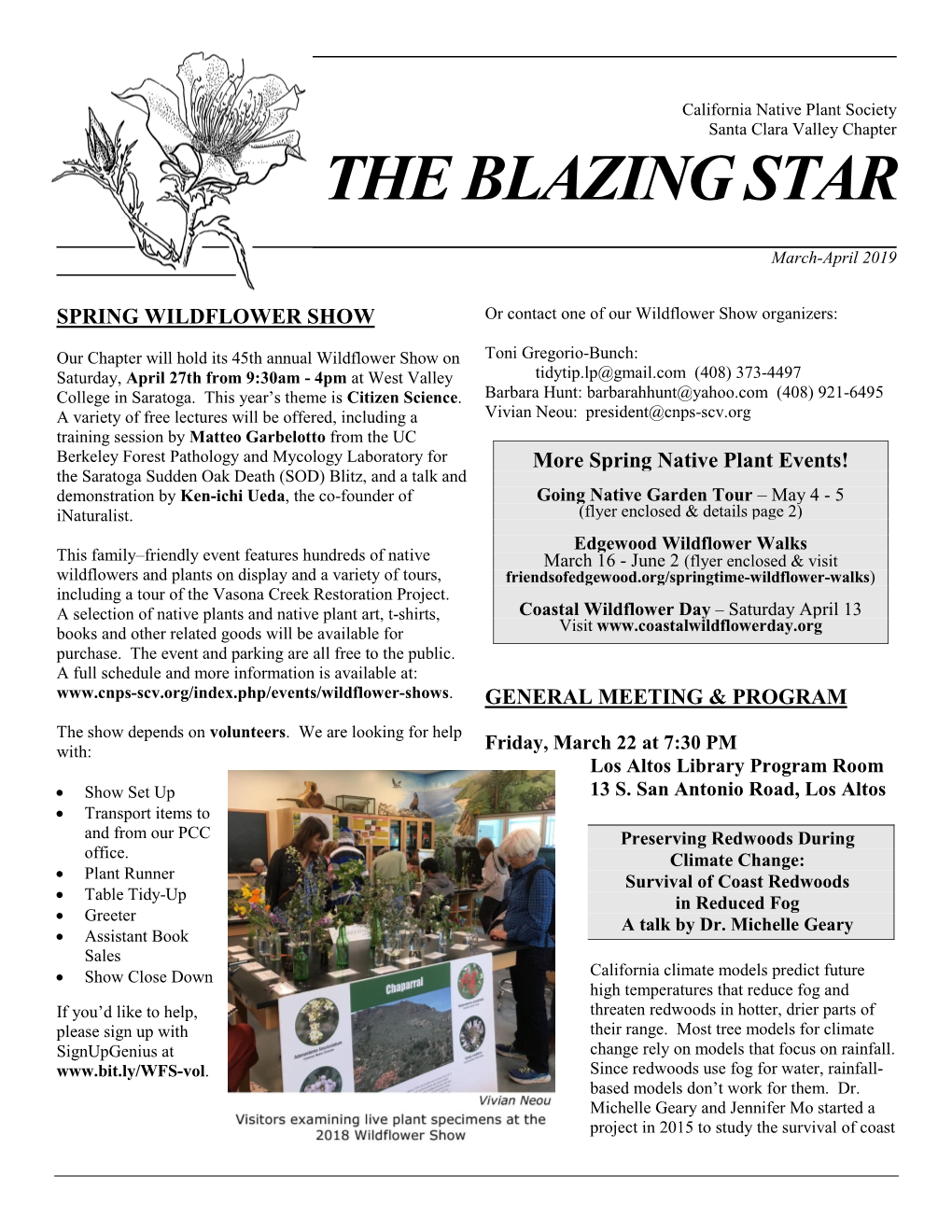Blazing Star Newsletter