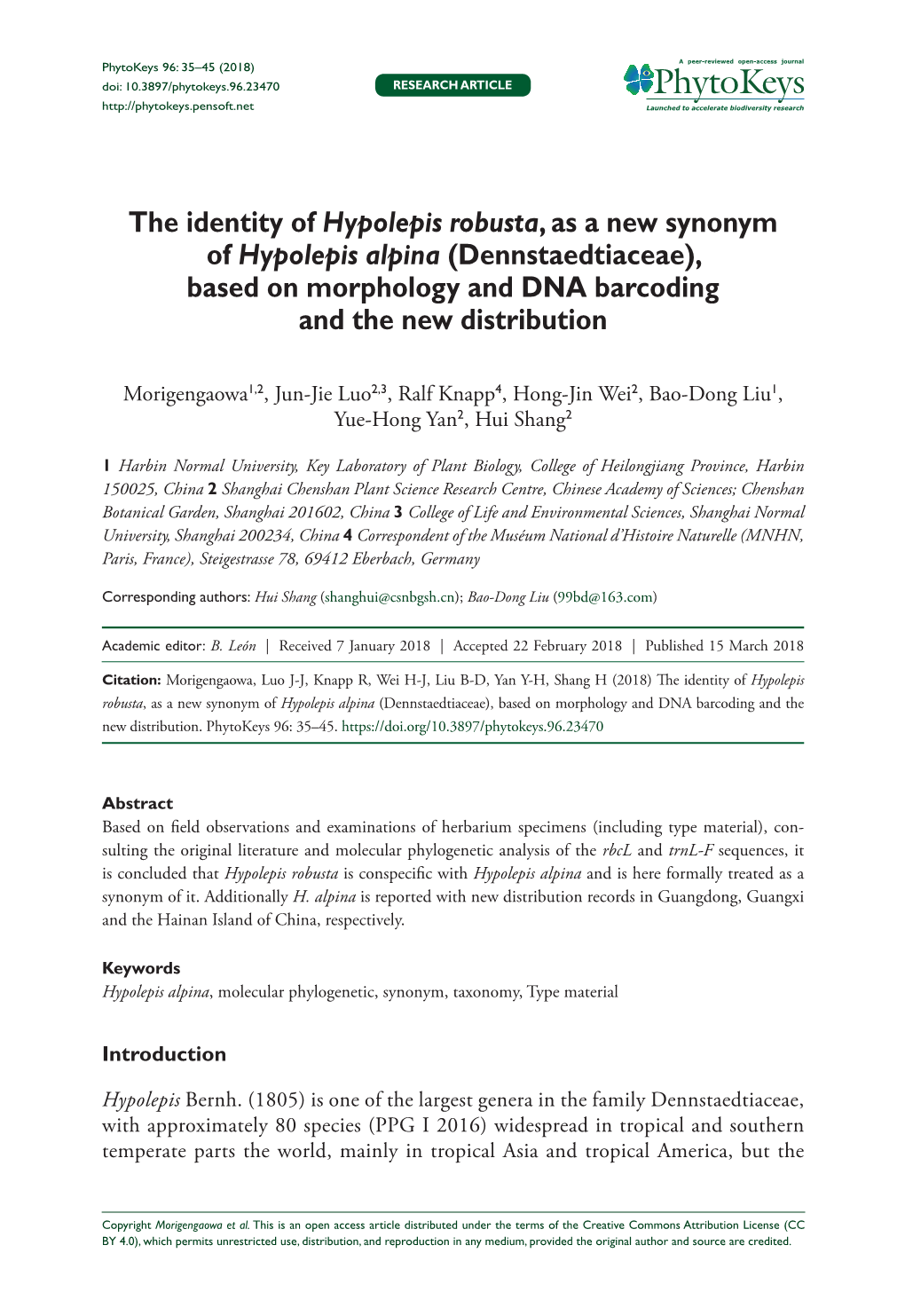 ﻿The Identity of Hypolepis Robusta, As a New Synonym of Hypolepis Alpina