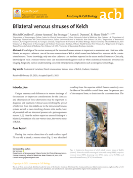 Bilateral Venous Sinuses of Kelch