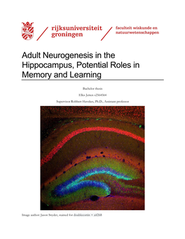 Adult Neurogenesis in the Hippocampus, Potential Roles in Memory and Learning