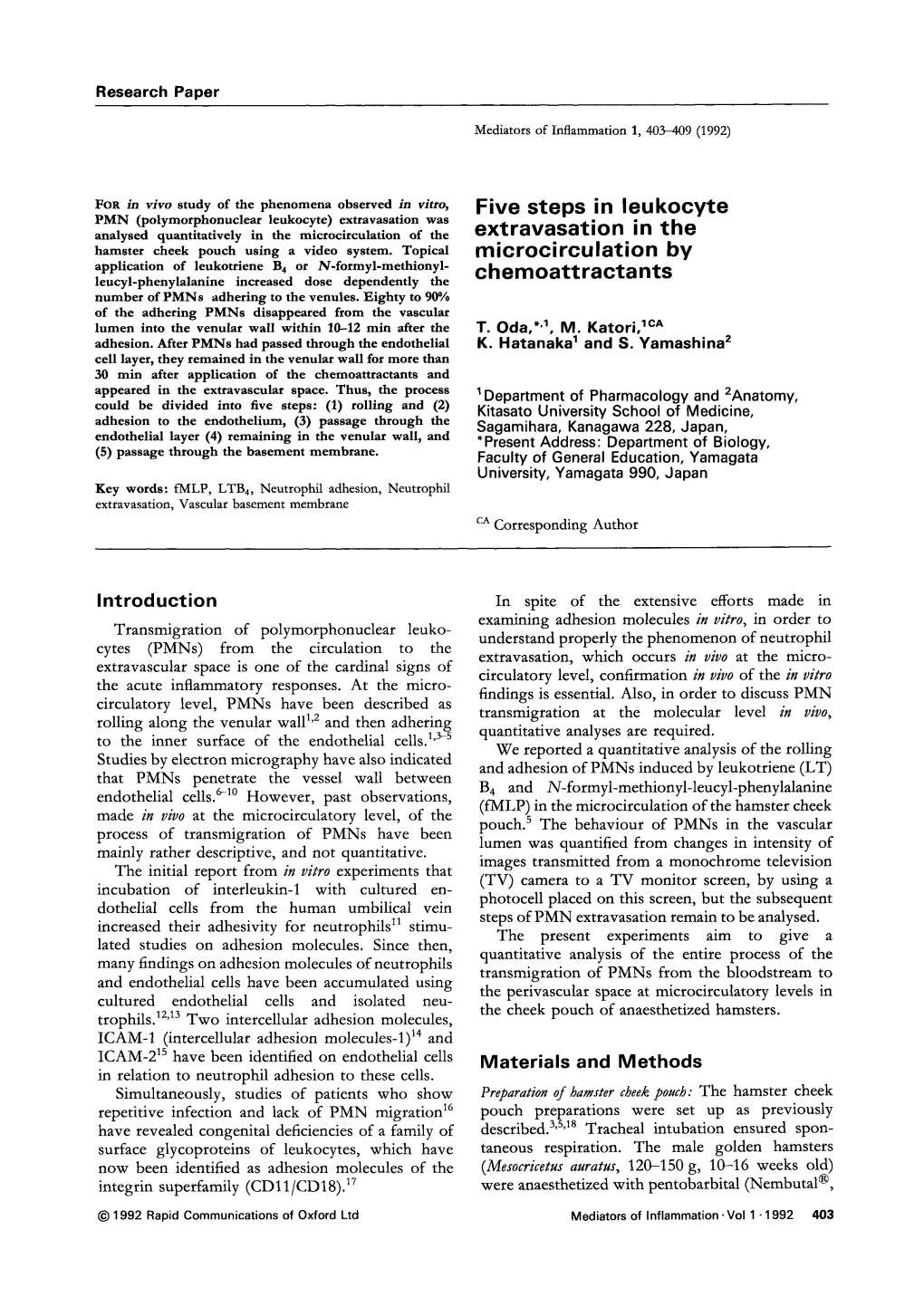 Five Steps in Leukocyte Extravasation in the Rnicrocirculation by Chemoattractants