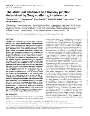 The Structural Ensemble of a Holliday Junction Determined by X-Ray Scattering Interference Thomas Zettl 1,2, Xuesong Shi2, Steve Bonilla2,3, Steffen M