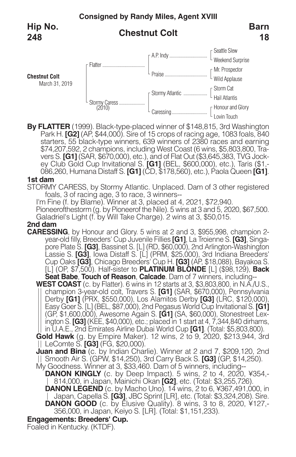 Chestnut Colt Barn 18 Hip No