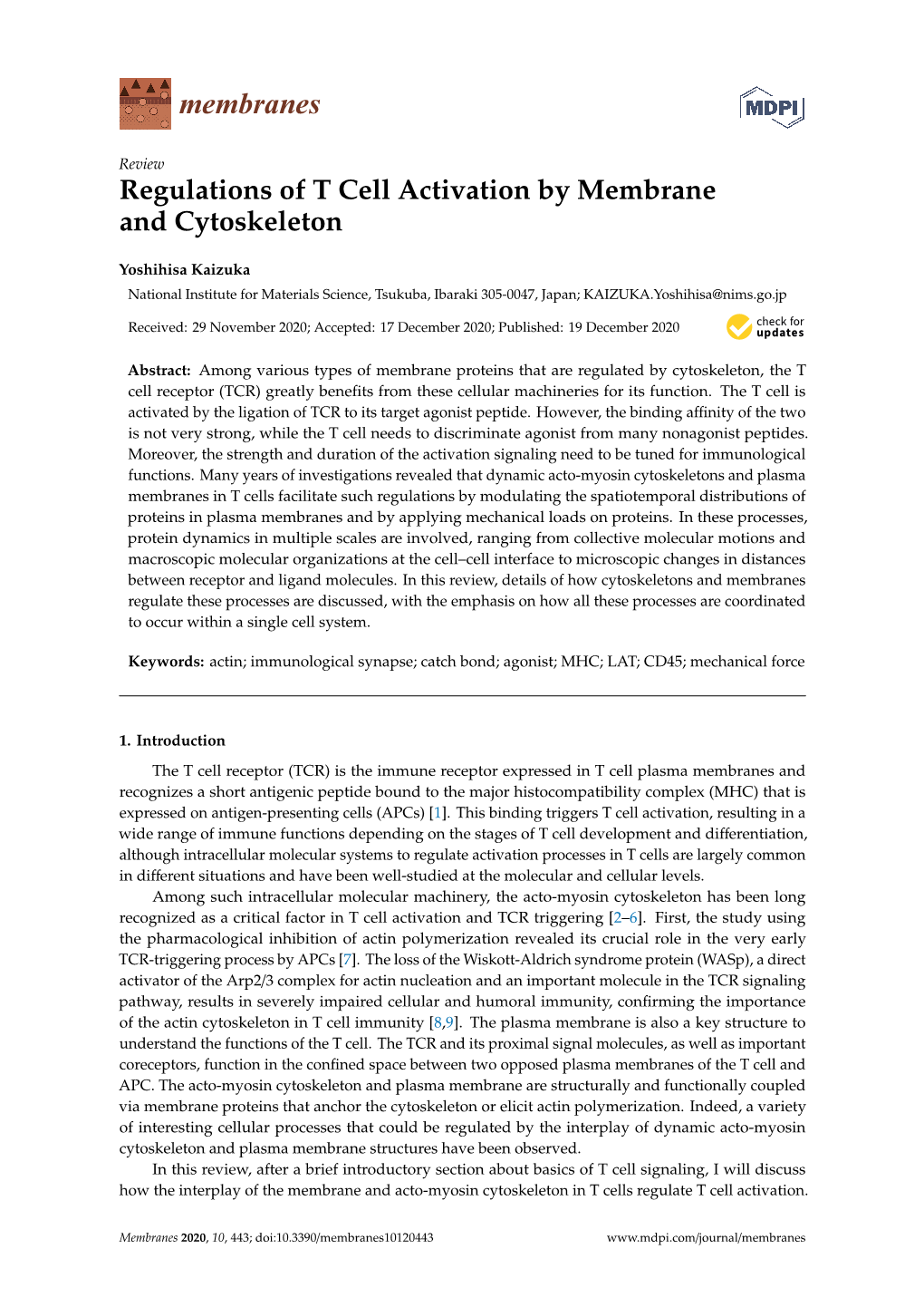 Regulations of T Cell Activation by Membrane and Cytoskeleton