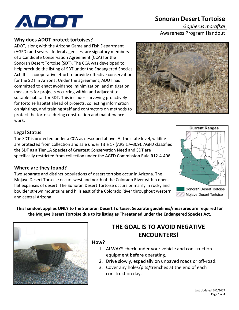 Sonoran Desert Tortoise Awareness Handout