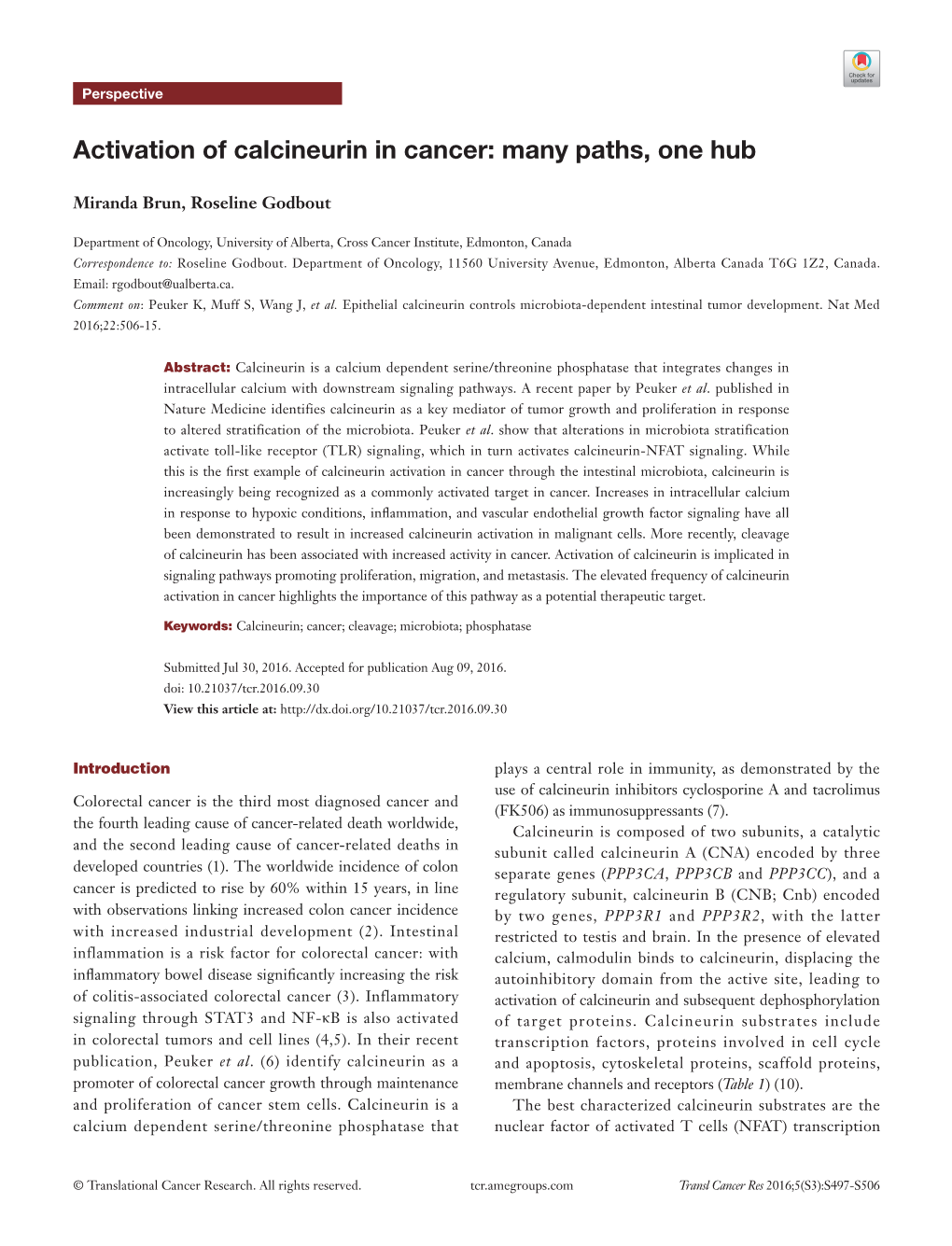 Activation of Calcineurin in Cancer: Many Paths, One Hub