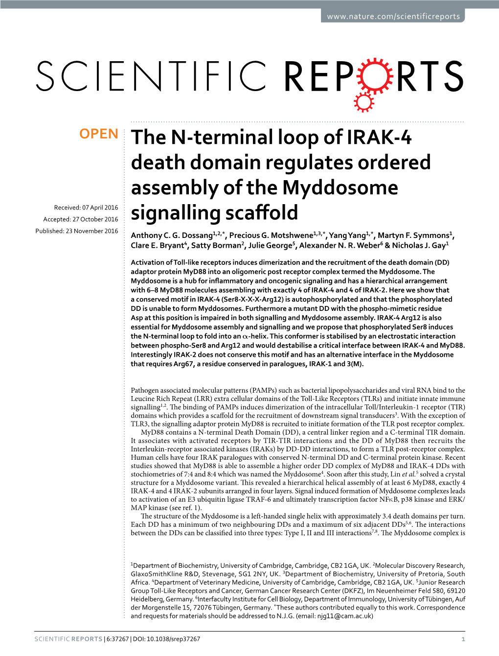 The N-Terminal Loop of IRAK-4 Death Domain Regulates Ordered