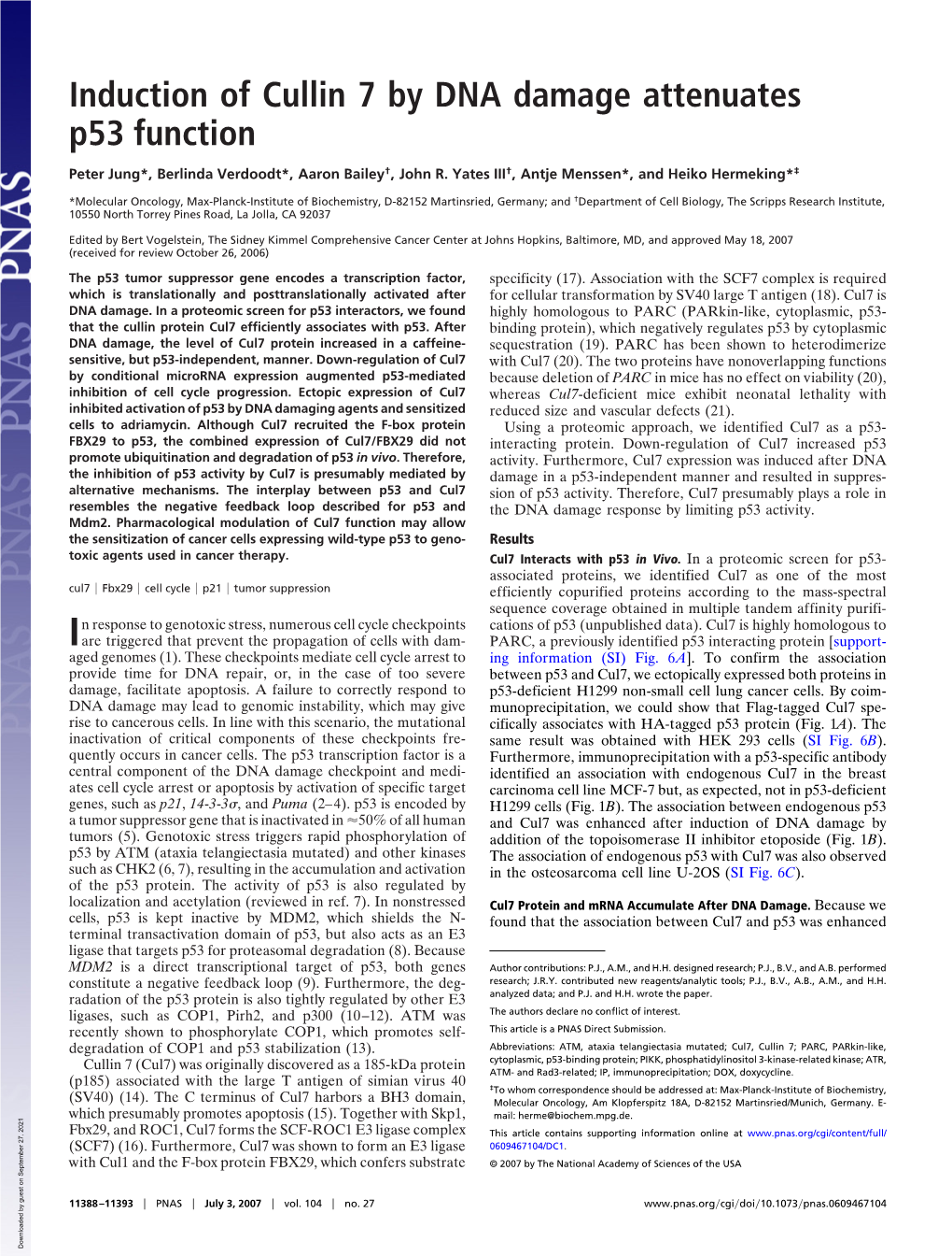 Induction of Cullin 7 by DNA Damage Attenuates P53 Function