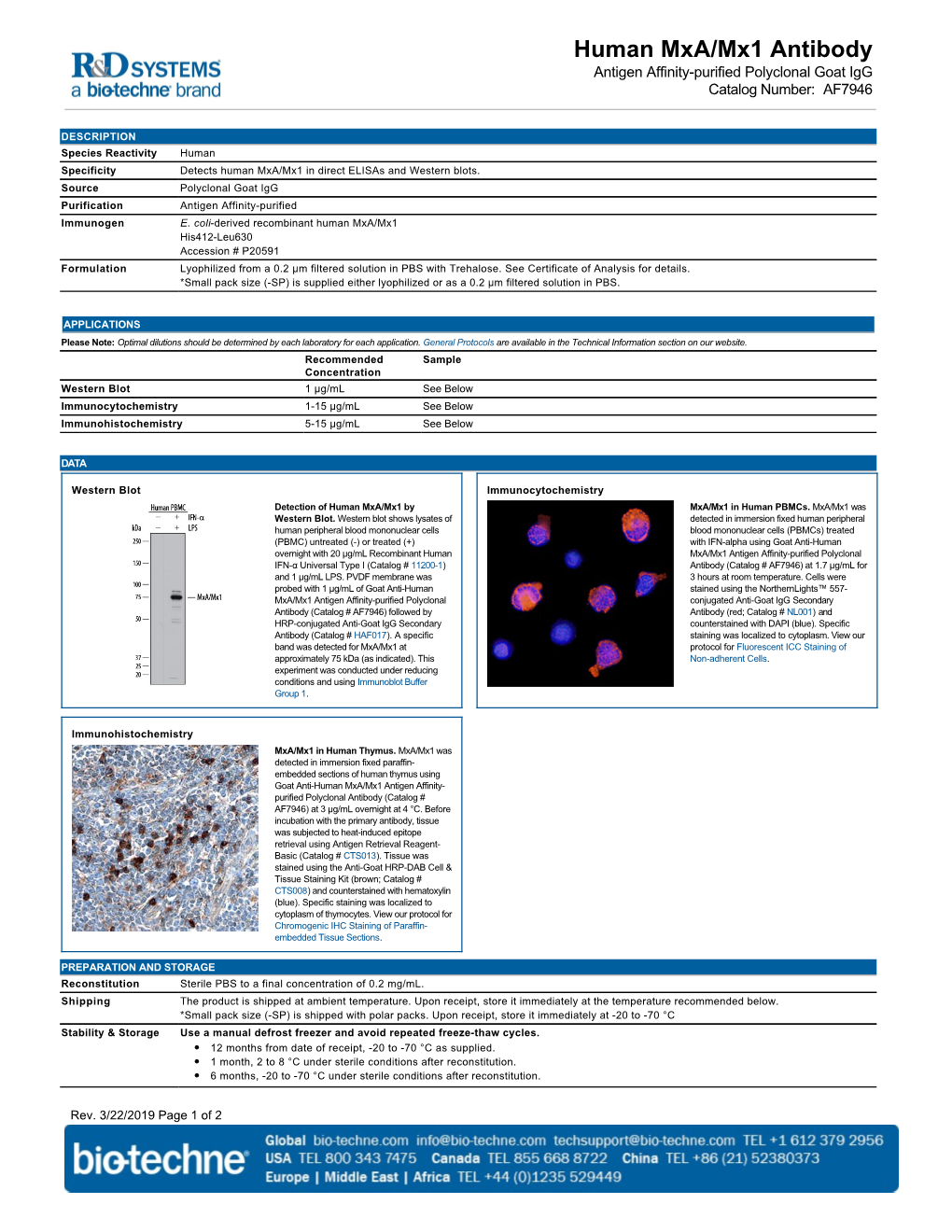 Human Mxa/Mx1 Antibody Antigen Affinity-Purified Polyclonal Goat Igg Catalog Number: AF7946