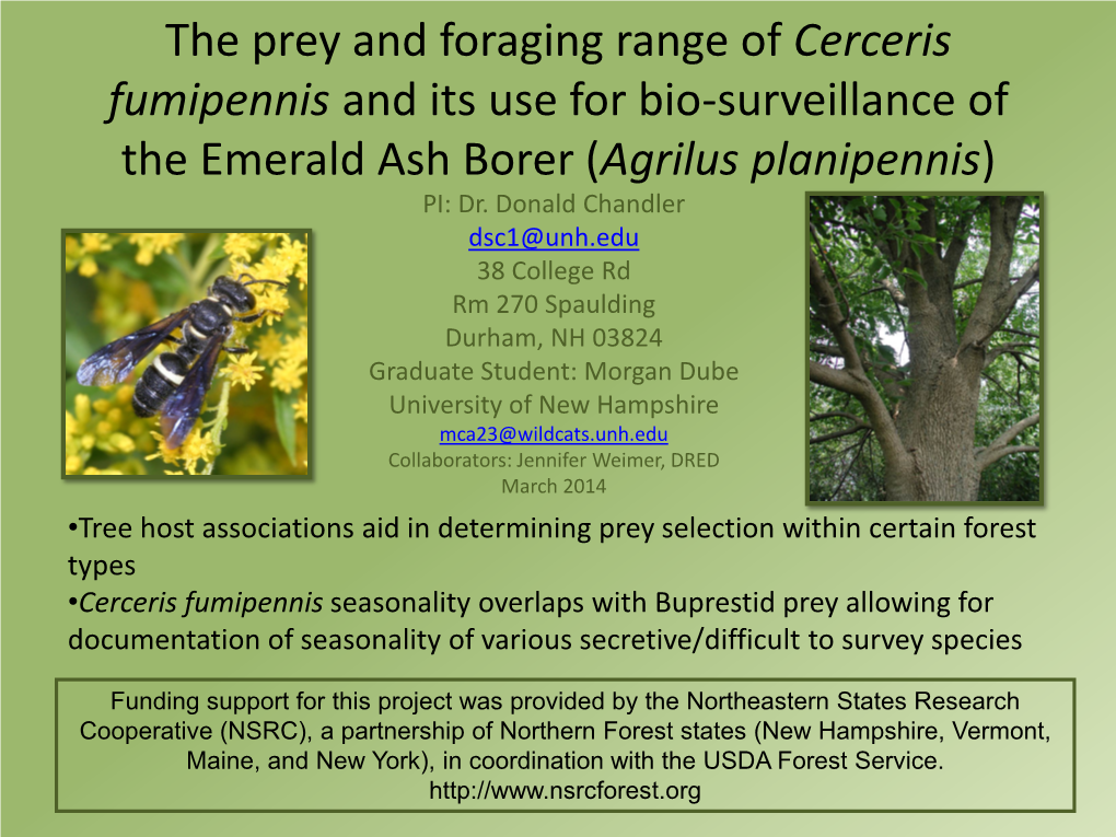 The Prey and Foraging Range of Cerceris Fumipennis and Its Use for Bio-Surveillance of the Emerald Ash Borer (Agrilus Planipennis) PI: Dr