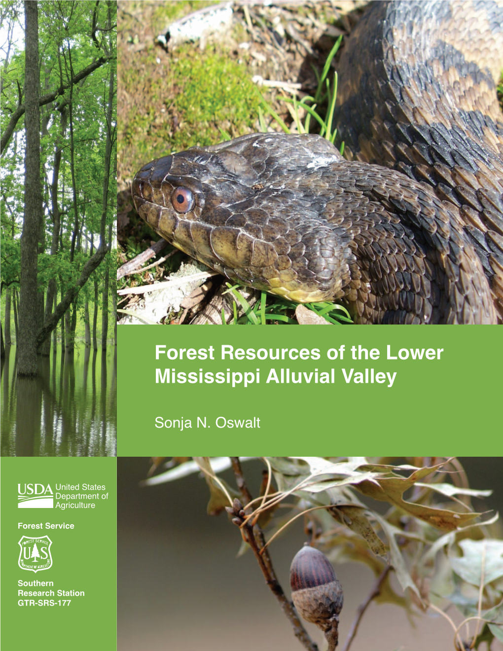Forest Resources of the Lower Mississippi Alluvial Valley
