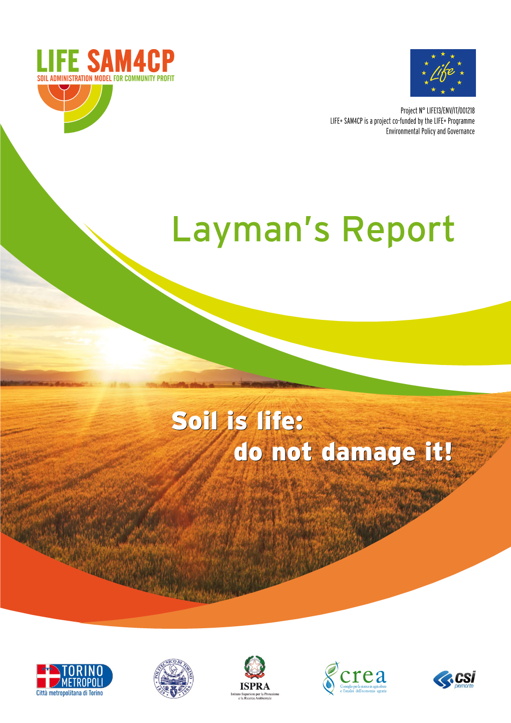 Layman's Report