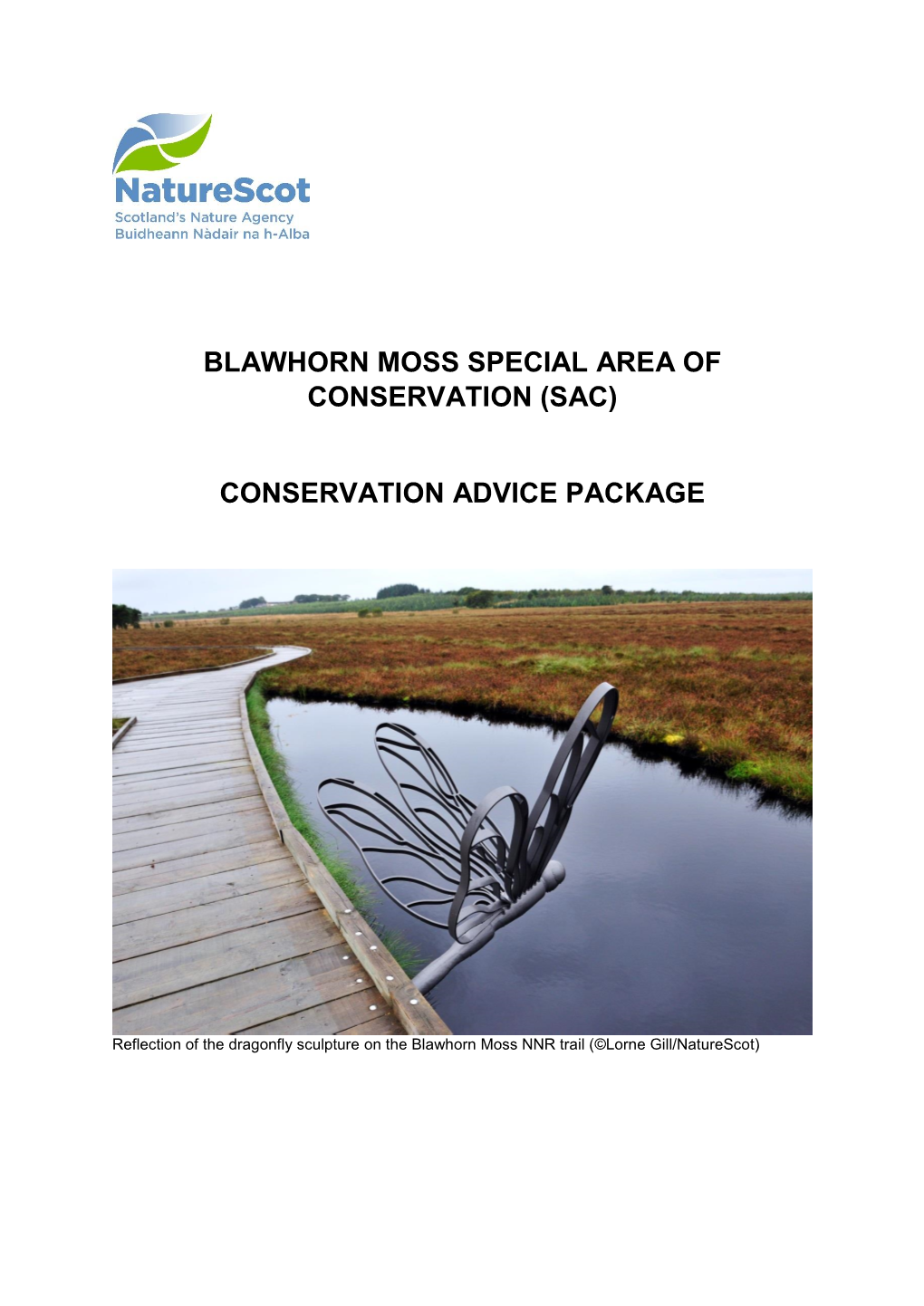 Blawhorn Moss Special Area of Conservation (Sac)
