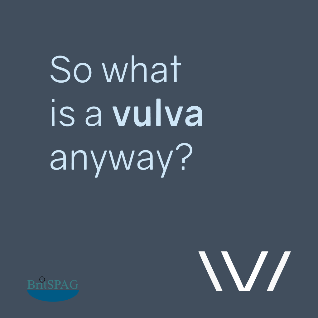 So What Is a Vulva Anyway?