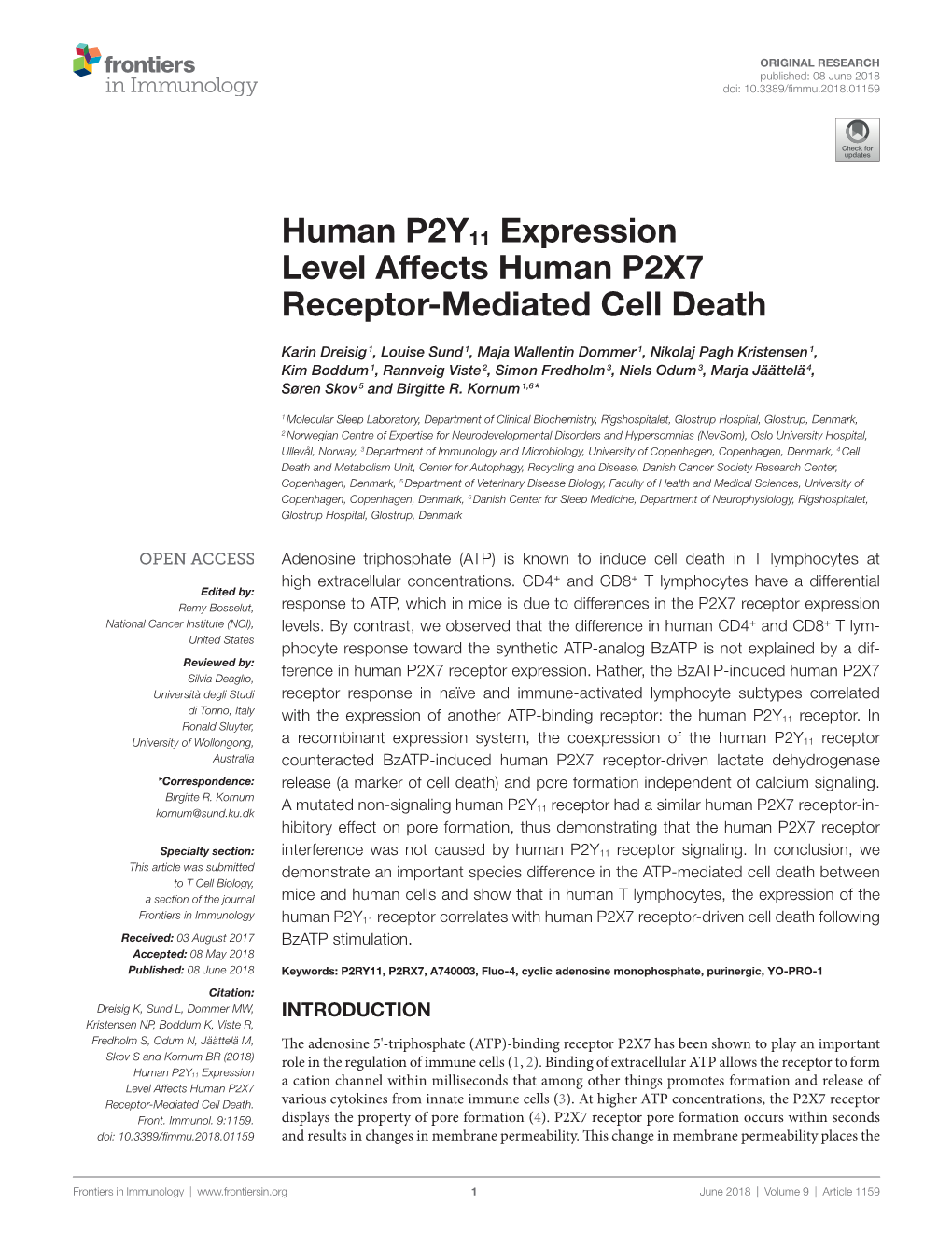 Human P2Y11 Expression Level Affects Human P2X7 Receptor-Mediated Cell Death