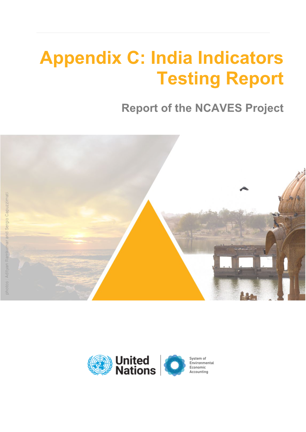 Appendix C: India Indicators Testing Report