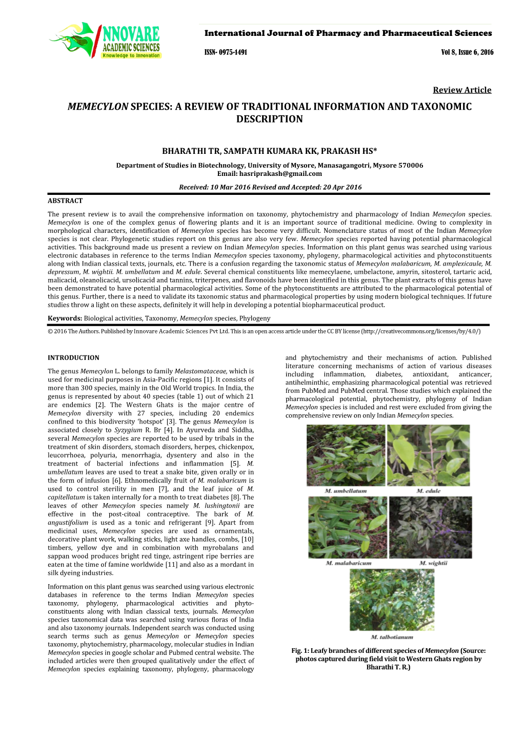 Memecylon Species: a Review of Traditional Information and Taxonomic Description