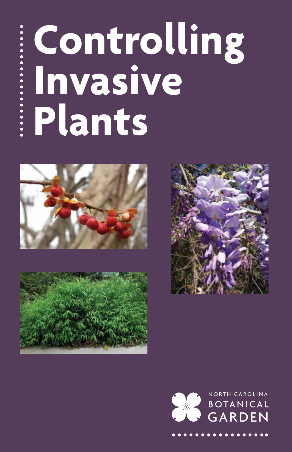 Controlling Invasive Plants