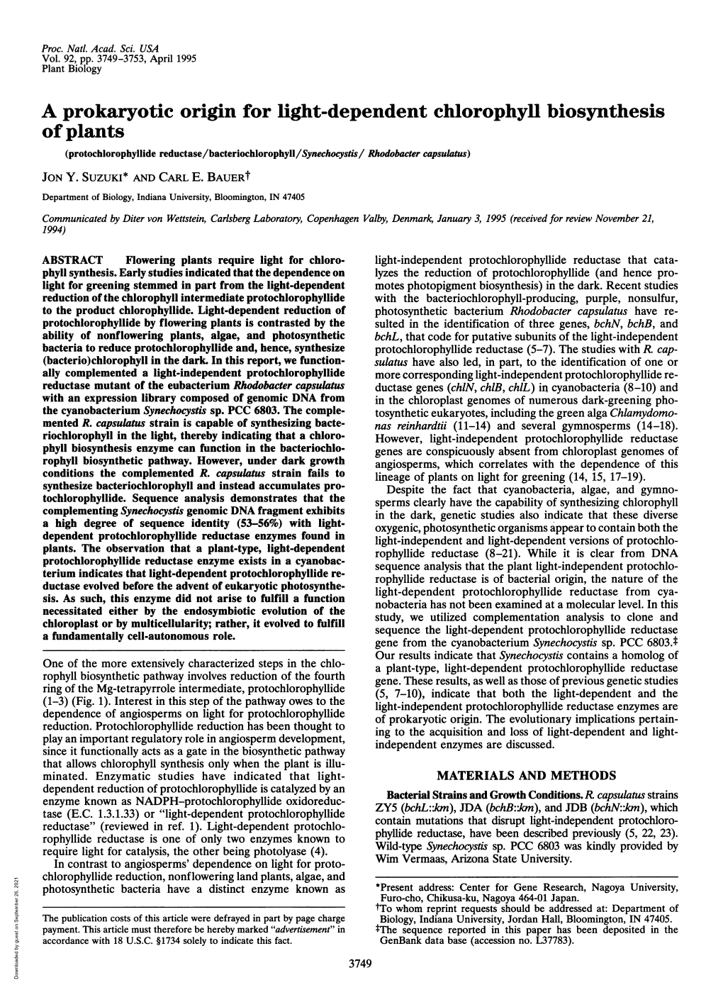 A Prokaryotic Origin for Light-Dependent Chlorophyll