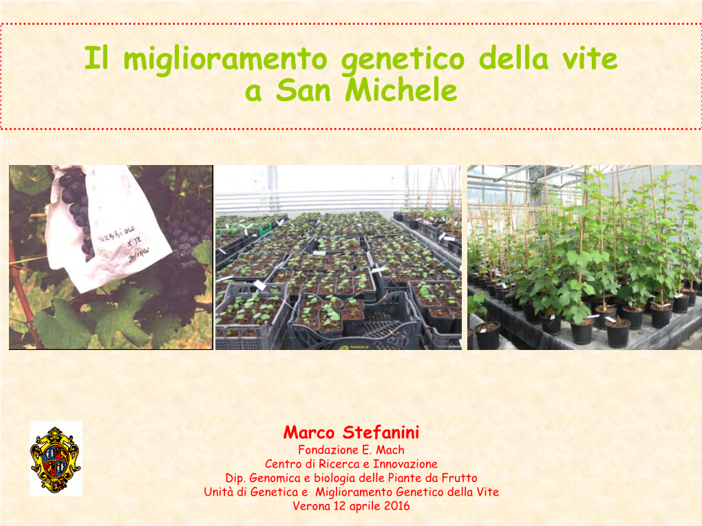 Il Miglioramento Genetico Della Vite a San Michele