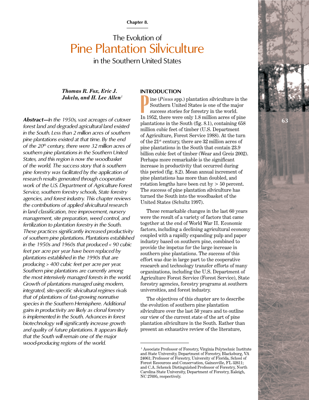 Pine Plantation Silviculture in the Southern United States